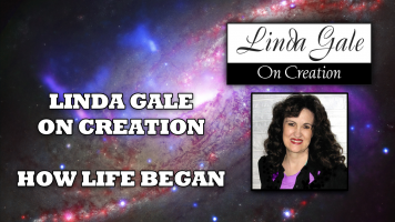 How Did LIfe Begin?